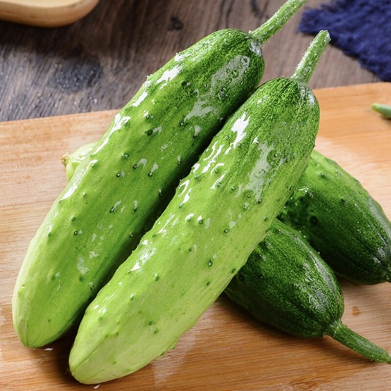 送货上门新鲜水果小黄瓜山东旱黄瓜生吃蔬菜装脆嫩青瓜