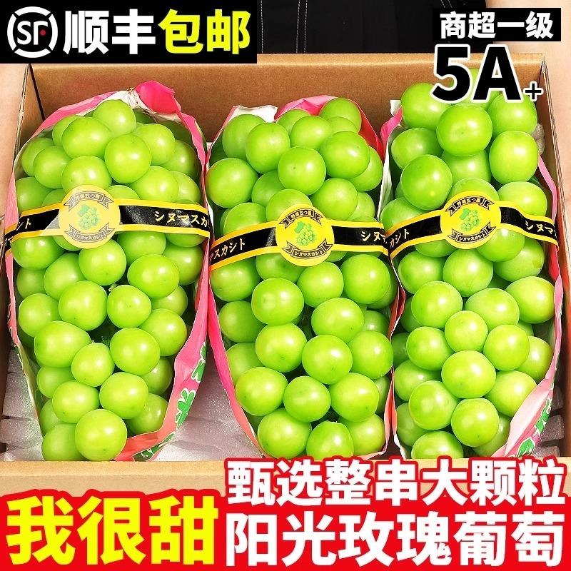 云南阳光玫瑰晴王青提葡萄超甜