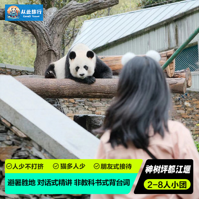 飞猪旅行2-8人小团卧龙神树枰大熊猫苑都江堰一日游成都周边纯玩