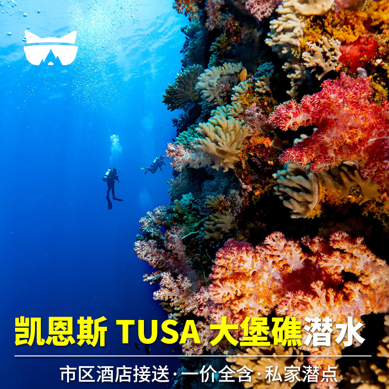 懒猫 澳大利亚凯恩斯大堡礁潜水一日游Tusa潜水浮潜深潜酒店接送