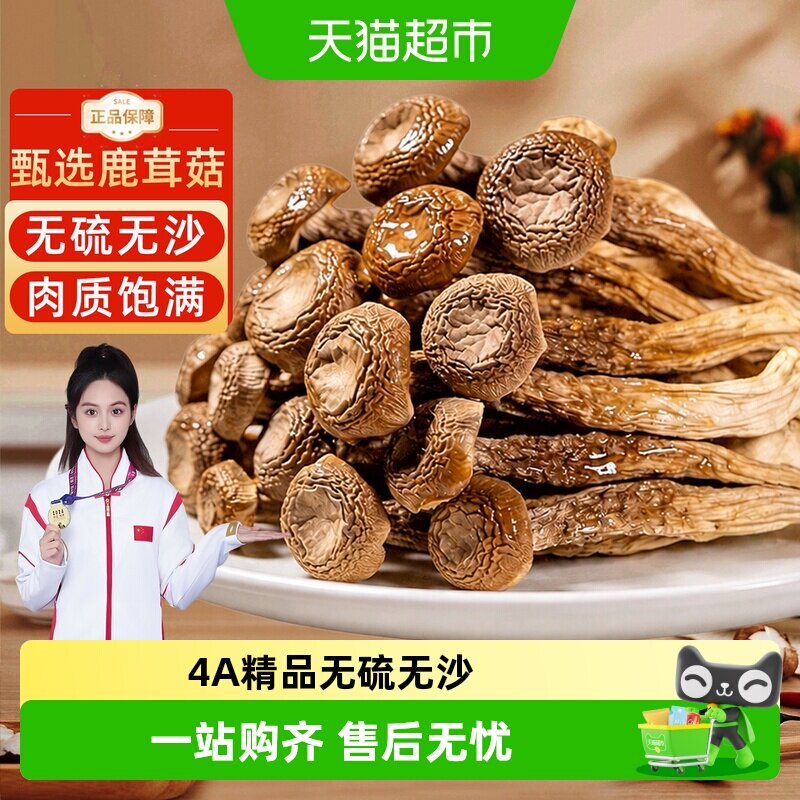4A精品鹿茸菇干货无硫正宗菌菇非特级新鲜香菇蘑菇云南特产脆脆菇