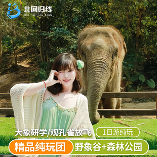 云南 西双版纳野象谷+原始森林公园一日游-可选15人团 品质纯玩