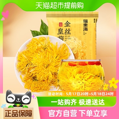 福东海金丝皇菊0.5g大朵黄菊