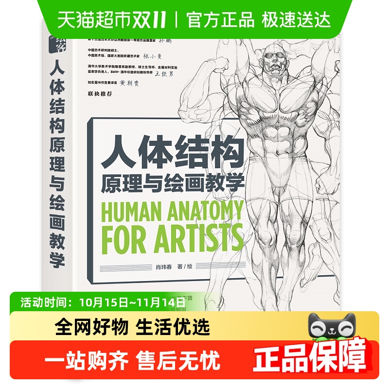 人体结构原理与绘画教学肖玮春