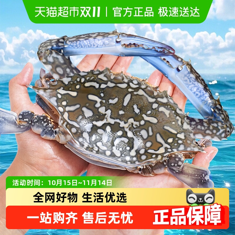 兰花蟹肥度饱满膏香四溢新鲜品质
