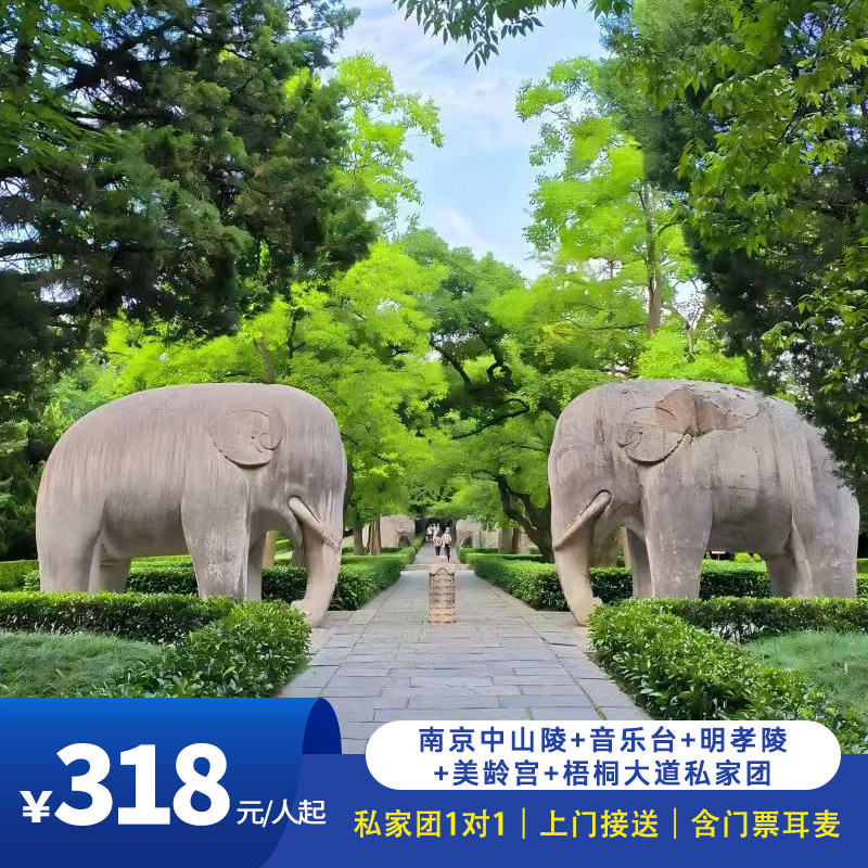 私家团｜南京中山陵+明孝陵+音乐台+美龄宫+梧桐大道一日游含门票 - 实物图