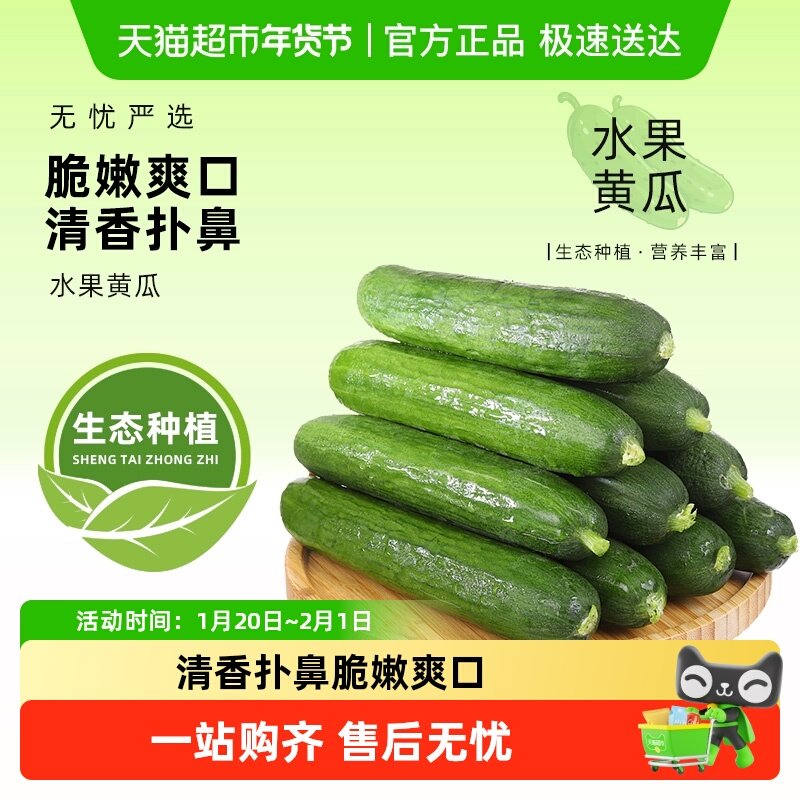 寿光蔬菜新鲜水果小黄瓜生吃无刺黄瓜青瓜清脆现摘,水产肉类/新鲜蔬果/熟食,番茄,淘宝优惠券,粉丝福利购,淘宝优惠卷