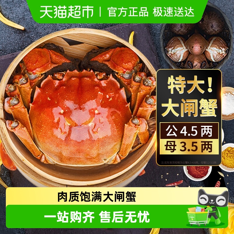 鲜活大闸蟹特大母3.2-3.5礼盒盒