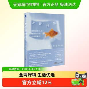不配得感 我们为什么会破坏自己的成功与快乐 心理学书籍