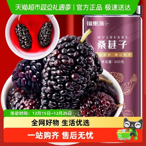 福东海桑椹即食桑甚大果