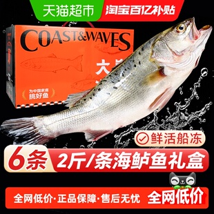 海仙部落海鲈鱼新鲜冷冻深海鱼七星鲈鱼海鱼卢鱼海鲜水产烤鱼礼盒