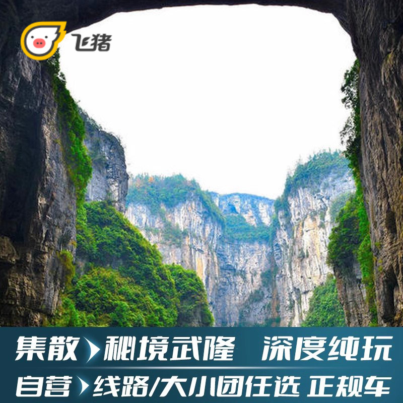 武隆一日游纯玩天生三桥天坑地缝仙女山2-8人小团乌江画廊游船