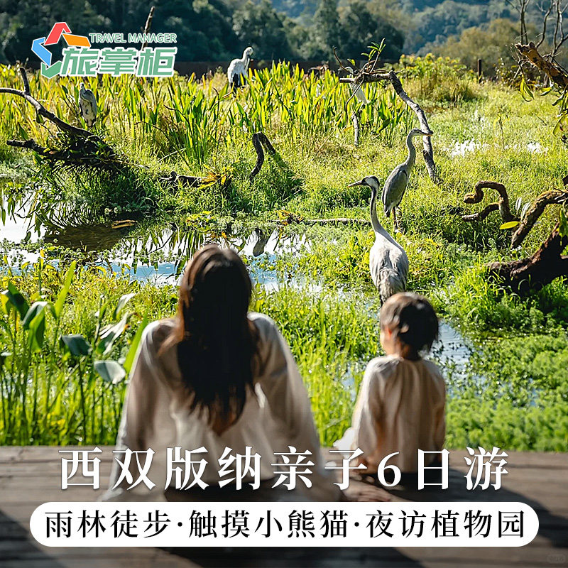 西双版纳亲子游6天5晚太阳河森林公园夜游中科植物园雨林徒步