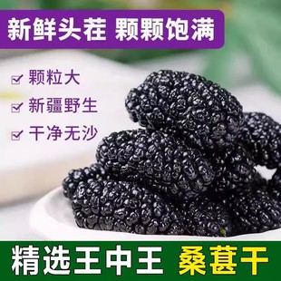 正宗桑葚干黑桑椹干免洗无沙新鲜果干泡水即食非野生特级四川