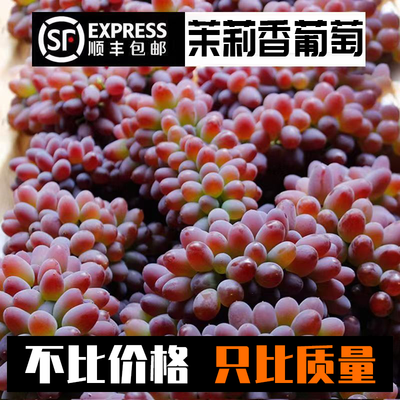 自带花香 顺丰上门