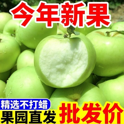 陕西青苹果新鲜水果8.5斤当季现摘绿小苹果孕妇酸脆甜整箱包邮