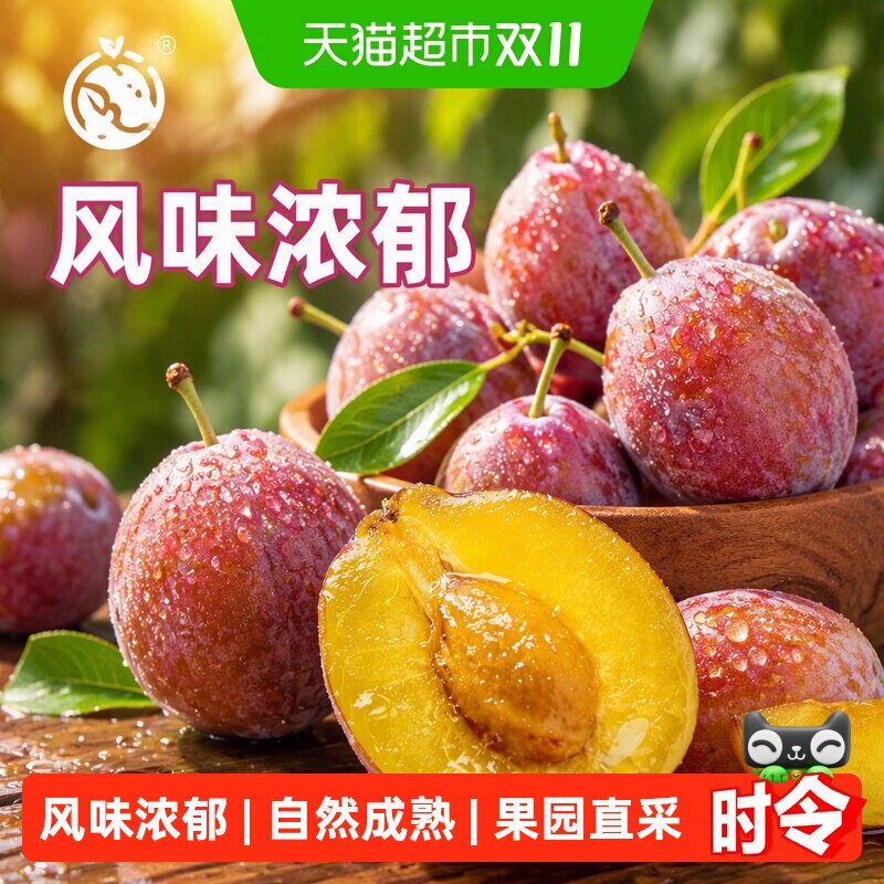 寻天果蔬新疆伽师西梅新鲜水果肉厚多汁甜嫩爽口特级大果鲜西梅