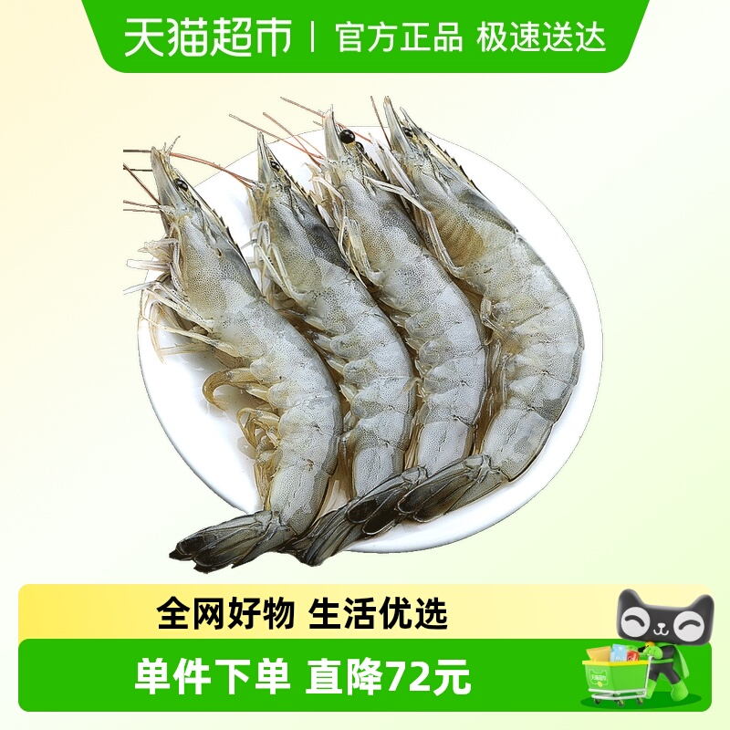 北海湾白虾海虾