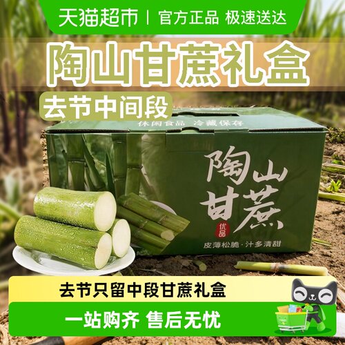 陶山绿皮甘蔗新鲜水果