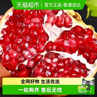 正宗四川突尼斯软籽石榴新鲜水果当季 红宝石无籽石榴大果产地直发