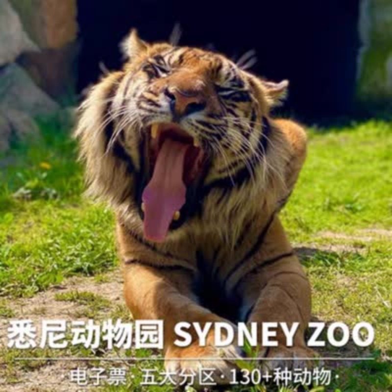 [悉尼动物园-大门票]快速出票悉尼动物园Sydney Zoo 有效期票白天门票