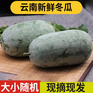 农家自种新鲜小冬瓜香冬瓜个头较小清香口感迷你老冬瓜新鲜 包邮