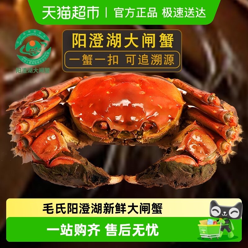 【活蟹】毛氏阳澄苏州阳澄湖螃蟹鲜活大闸蟹公母礼盒装新鲜湖蟹