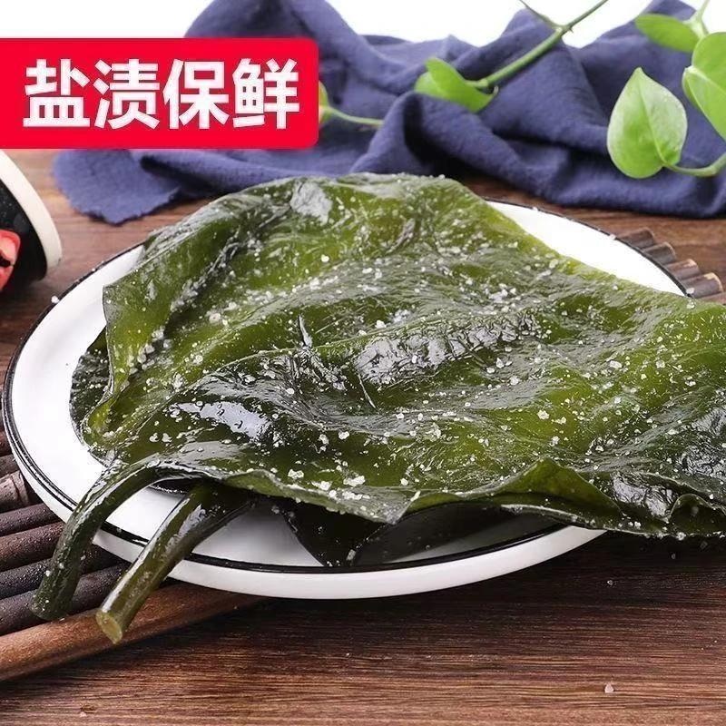 盐渍海带头特厚特级新鲜非干货海带批发海带厚片凉拌菜