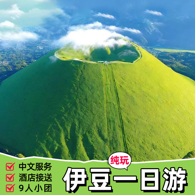 日本东京伊豆樱花一日游大室山仙人掌动物园城崎海岸观海列车包车 - 实物图