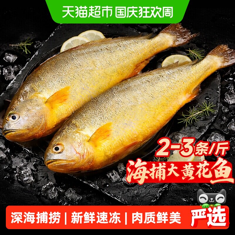 其他大黄花鱼深海冷冻刺少肉多图片