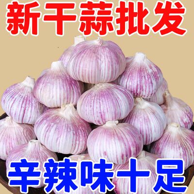 2025年干蒜山东大蒜头批发紫白皮大蒜特大果新鲜多瓣蒜子包邮