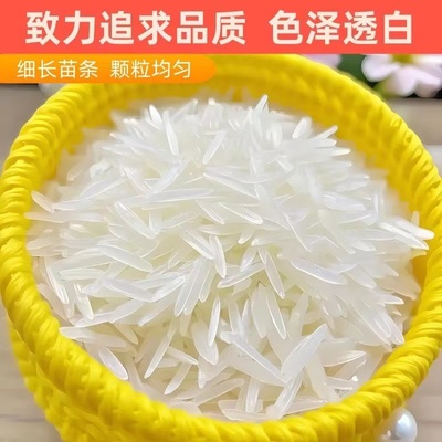 2025年新米正宗长粒大米猫牙米真空丝苗米山泉水灌溉新米长粒香米