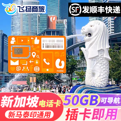 新加坡电话卡