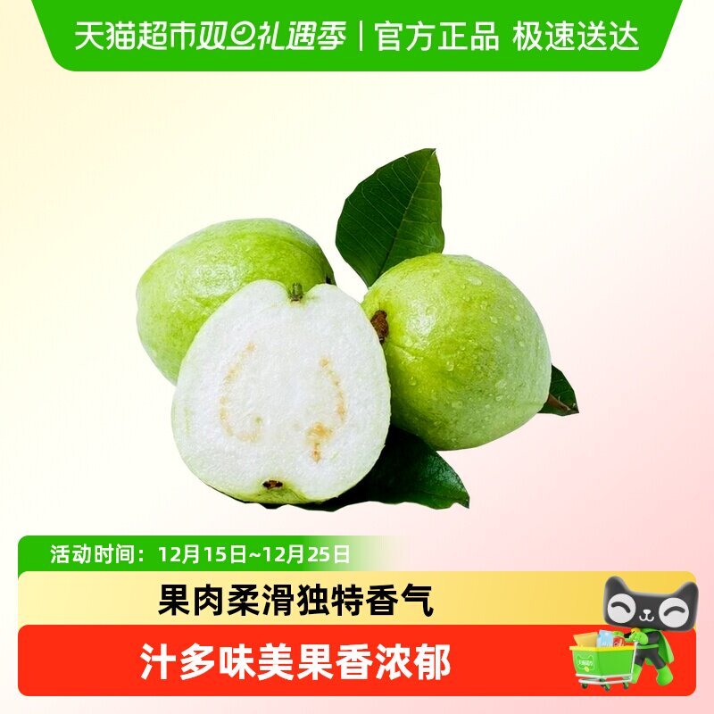 广西应季水果脆甜白心芭乐珍珠番石榴软糯香甜热带水果现摘现发