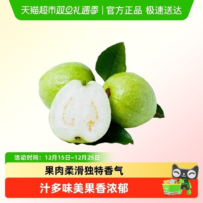 森季果农广西白心芭乐软糯香甜