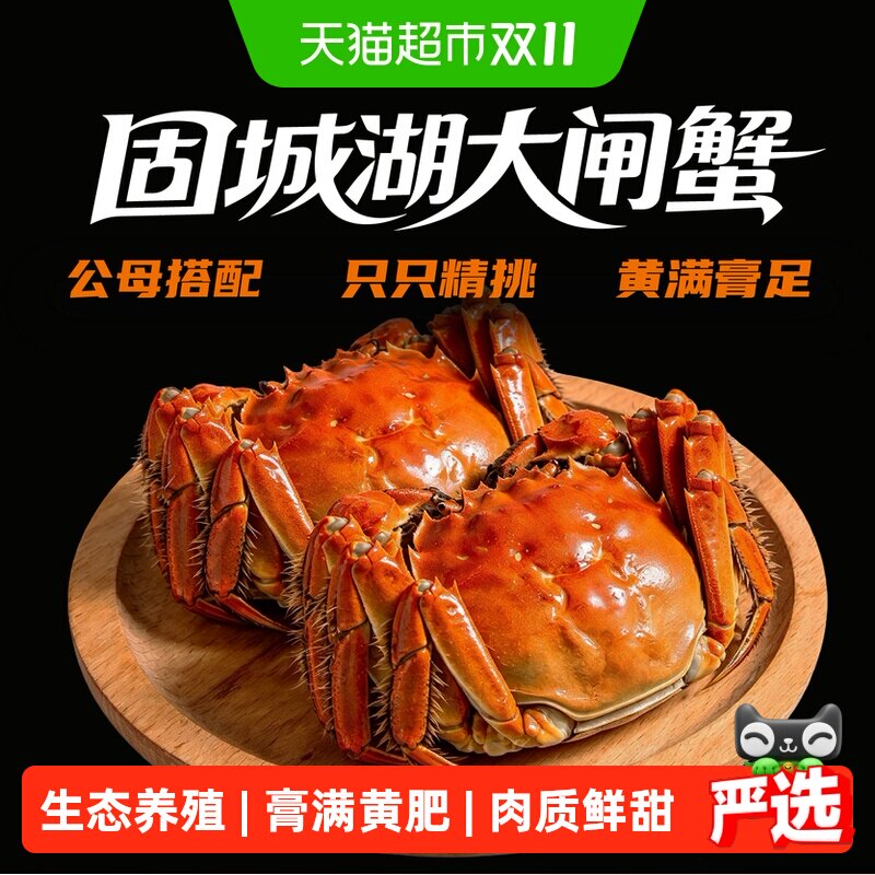 椒乡徽印固城湖大闸蟹送礼品质只只精挑鲜活现货多黄公母对蟹 活公实拍商品图