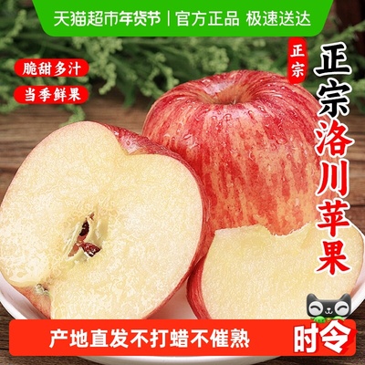 LUOCHUANAPPLE/洛川苹果脆甜