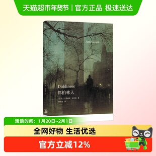 乔伊斯精选集都柏林人短篇小说集西方文学名篇徐晓雯译本译林出版