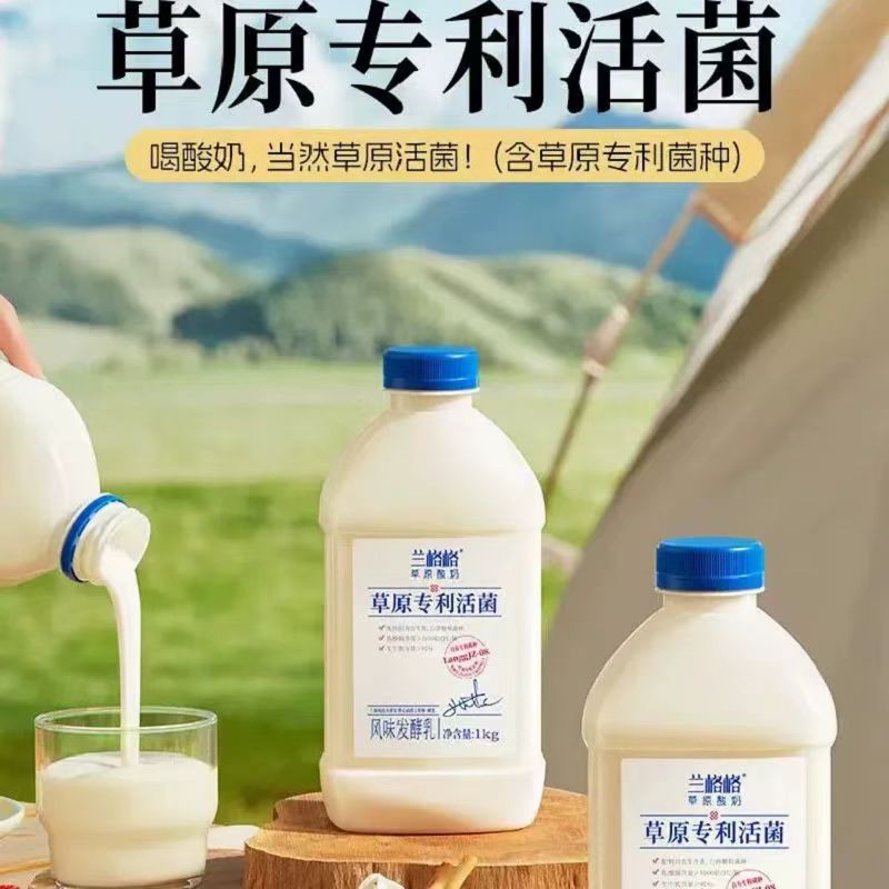 兰格格草原专利活菌家庭经济实惠装1kg大桶酸奶