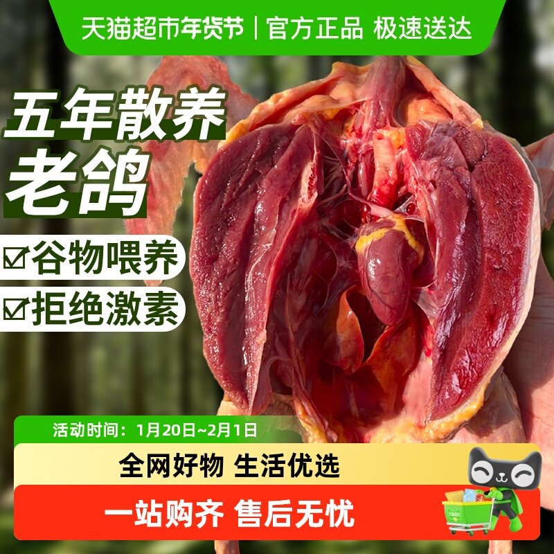 云储生活农家散养鸽子老鸽子肉生鲜乳鸽生鲜煲汤滋补农村冷冻批发,水产肉类/新鲜蔬果/熟食,乳鸽,淘宝优惠券,粉丝福利购,淘宝优惠卷