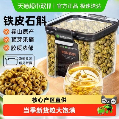 正宗霍山铁皮石斛顶芽采摘胶质浓