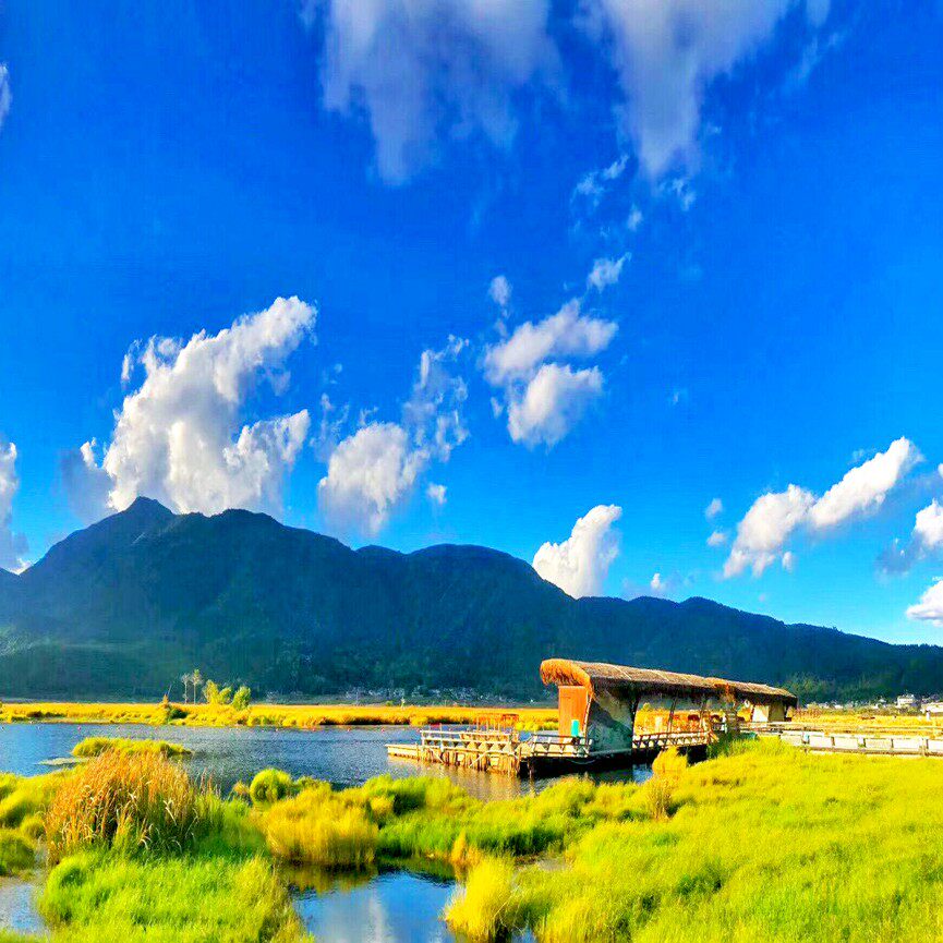 以下单前和客服咨询商品包含为准