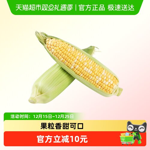 顺丰云南金银水果玉米包邮