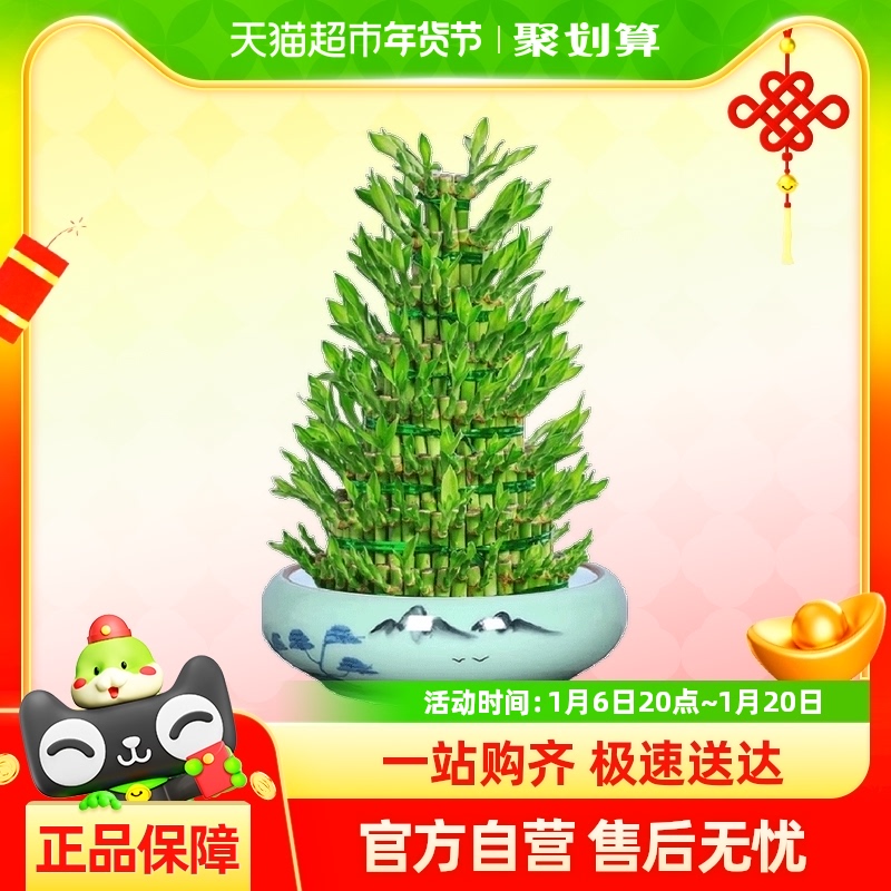 ڽڸˮֲԻܰ칫ҿвƿת61.37Ԫ(88VIP 95)