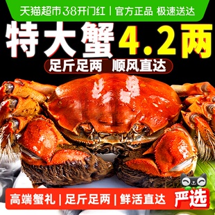 I活蟹I仲秋大闸蟹鲜活现货全母公螃蟹礼盒湖鲜河蟹去绳净重