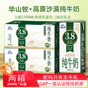 華山牧高原沙漠純牛奶3.8g乳蛋白整箱裝 7月產 營養(yǎng)純牛奶早餐