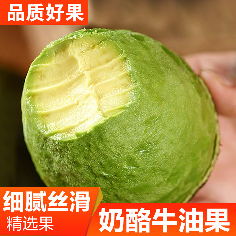 哈斯奶油牛油果新鲜水果当季整箱包邮批发一级鳄梨进口秘鲁