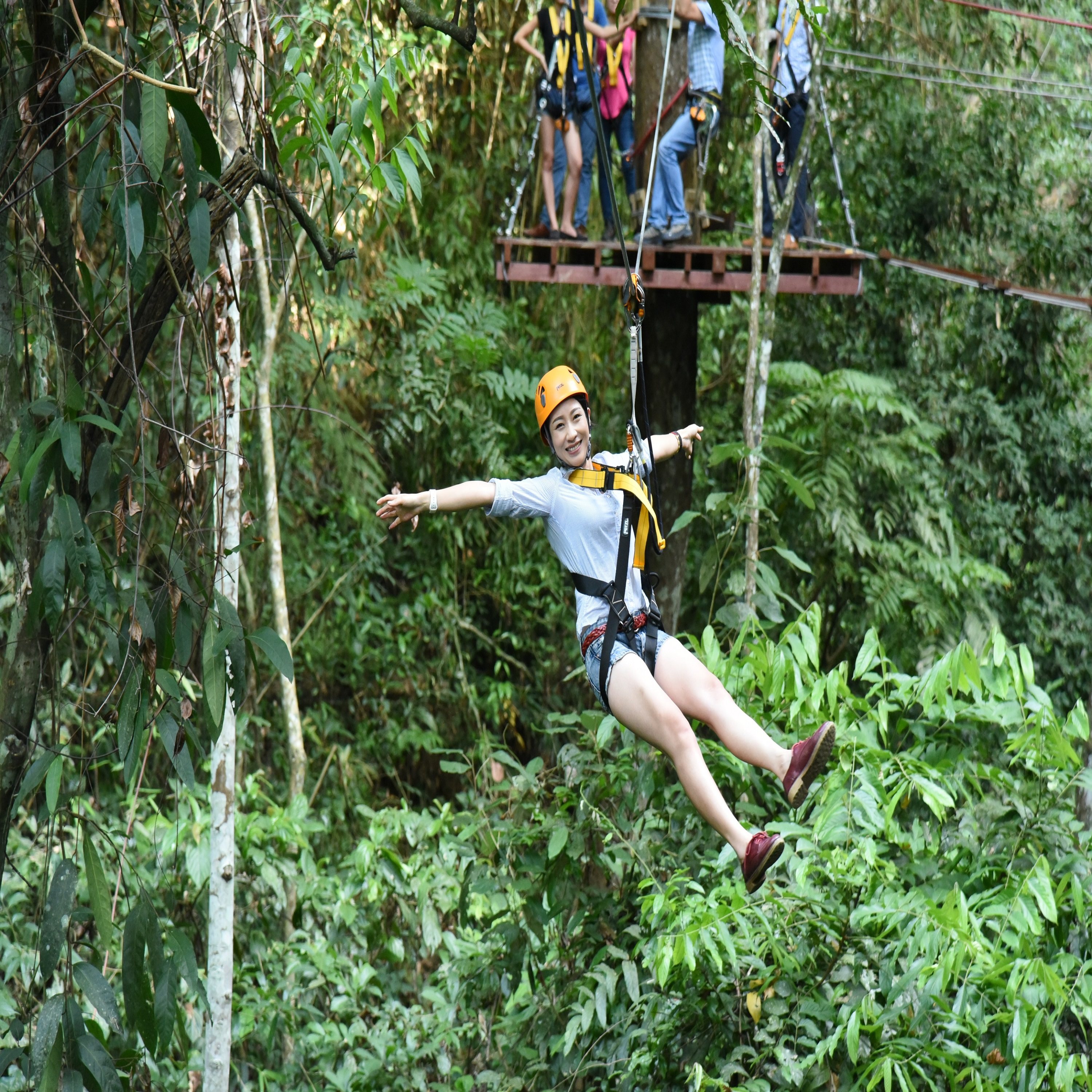 [西双版纳原始森林公园-大门票+电瓶车+B段丛林飞跃]大门票+电瓶车+B段丛林飞跃
