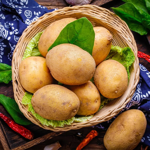 新鲜黄皮大土豆现挖现发农家软糯香甜洋芋马铃薯黄心优质土豆当季