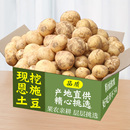 正宗恩施小土豆新鲜高山洋芋马铃薯3 9斤整箱 包邮
